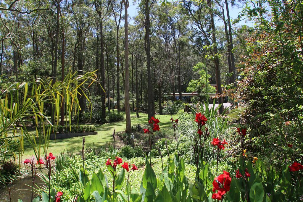 Werekataba Apartment Mount Hutton Bagian luar foto