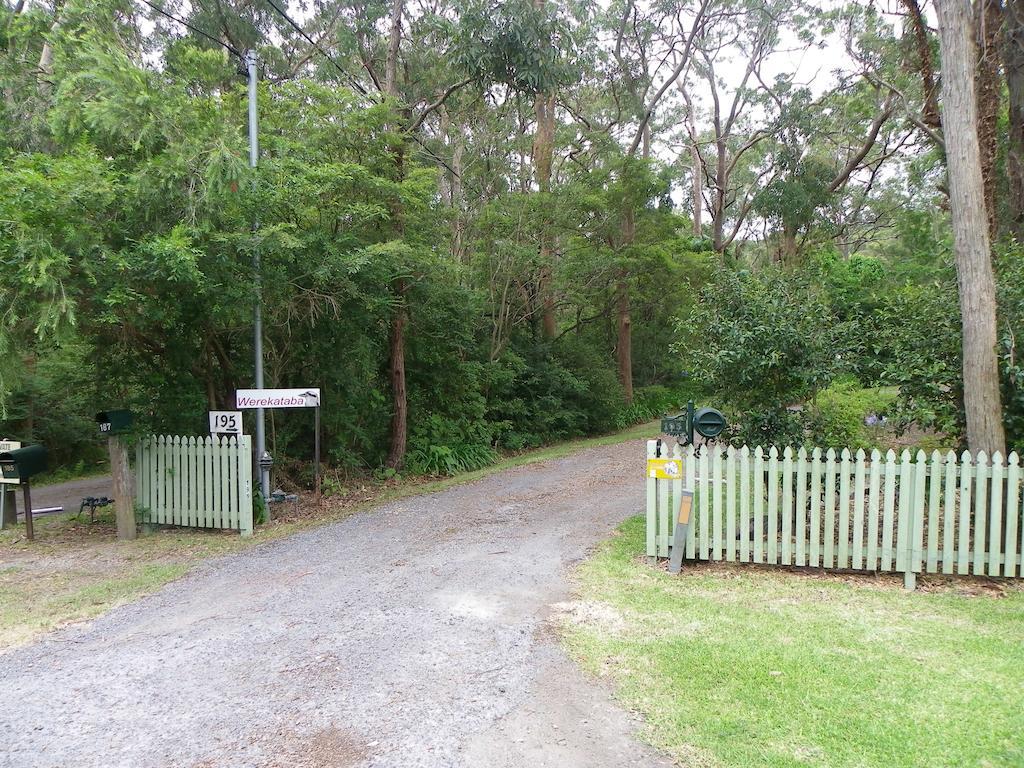 Werekataba Apartment Mount Hutton Bagian luar foto